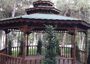 Ahşap Kamelya Ankara