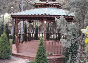 Ahşap Kamelya Ankara